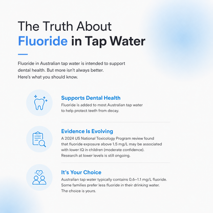 Christa Haus - Electric Water Filter Pro