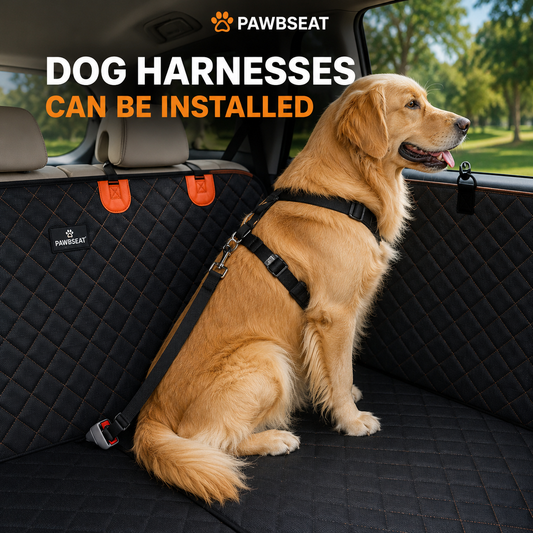Dog Car Seat Belt