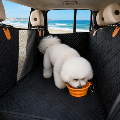 Collapsible Travel Dog Bowl
