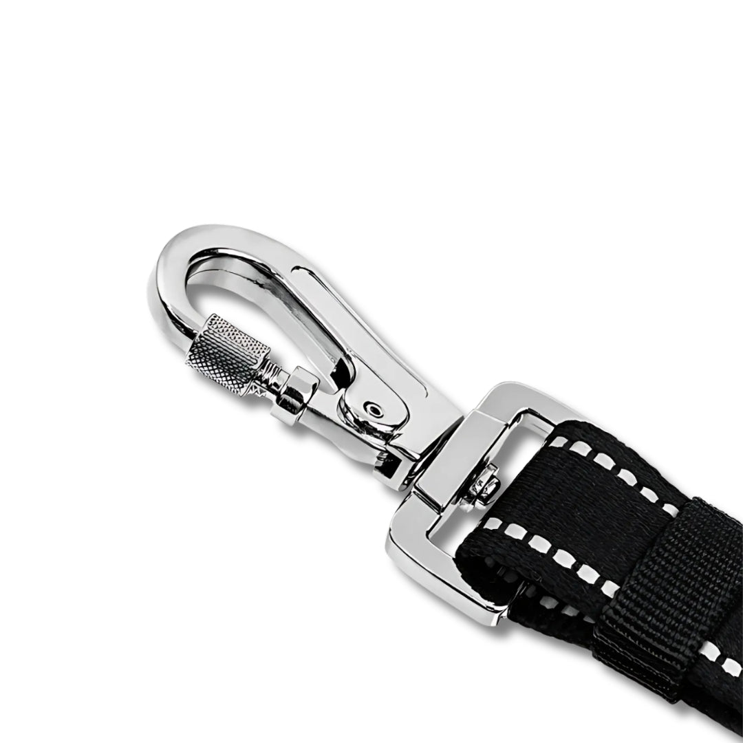Dog Car Seat Belt